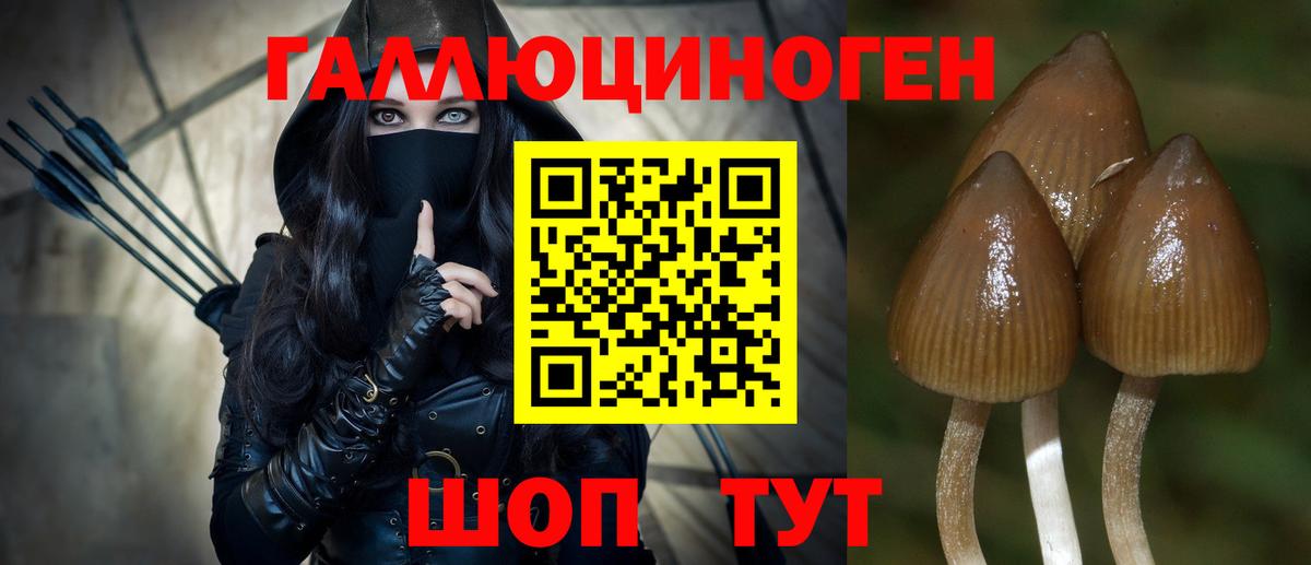 Псилоцибиновые грибы Magic Shrooms Губкин