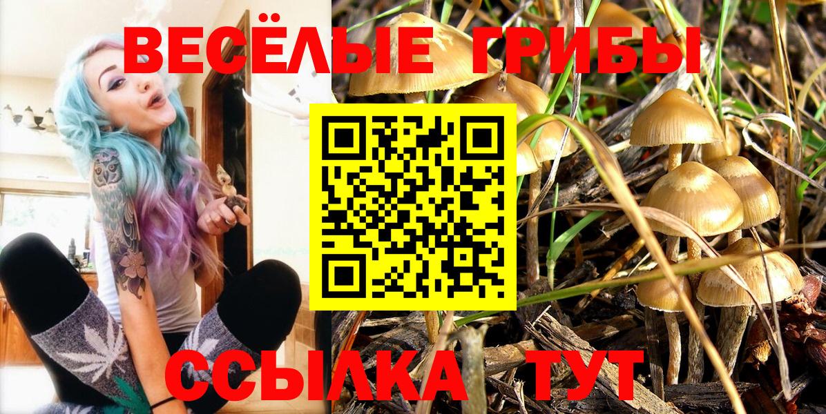 Губкин  Псилоцибиновые грибы Psilocybine cubensis  Галлюциногенные грибы Cubensis  Вход с VPN 