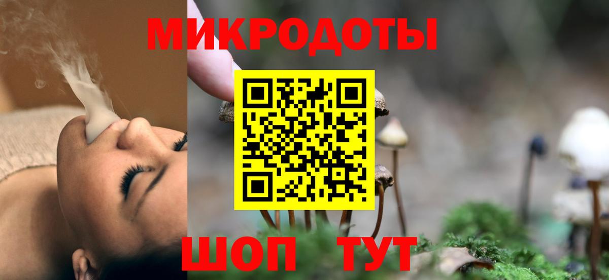 Галлюциногенные грибы Cubensis Губкин